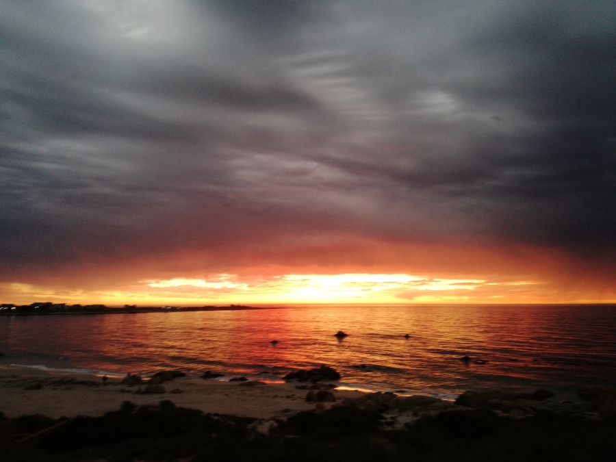 0 Bedroom Property for Sale in Steenbergs Cove Western Cape